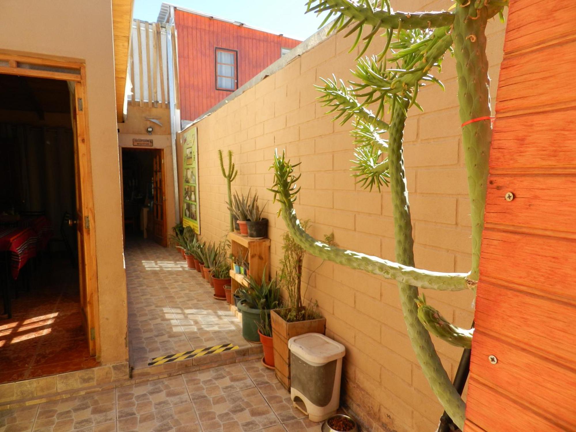 Hostal Illari San Pedro de Atacama Luaran gambar